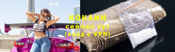 твердый Лиски