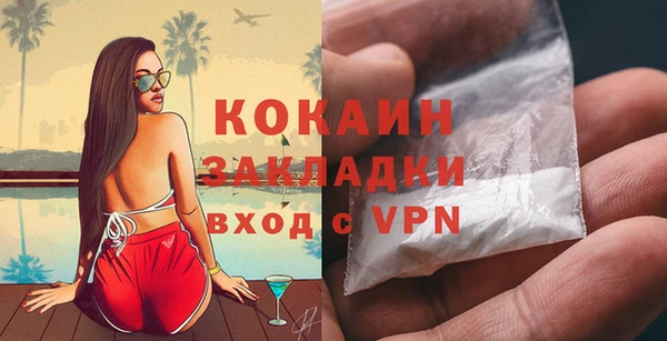 прущие грибы Липки