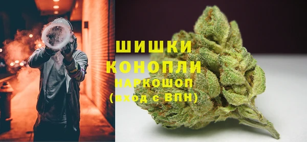 прущие грибы Липки