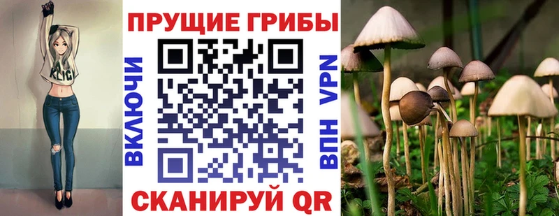 Псилоцибиновые грибы GOLDEN TEACHER  Заозёрск 